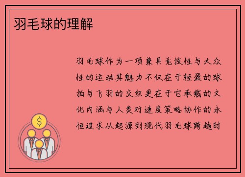 羽毛球的理解